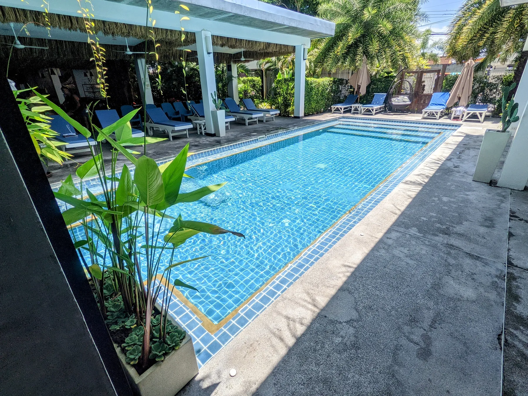 Pool and relaxation deck