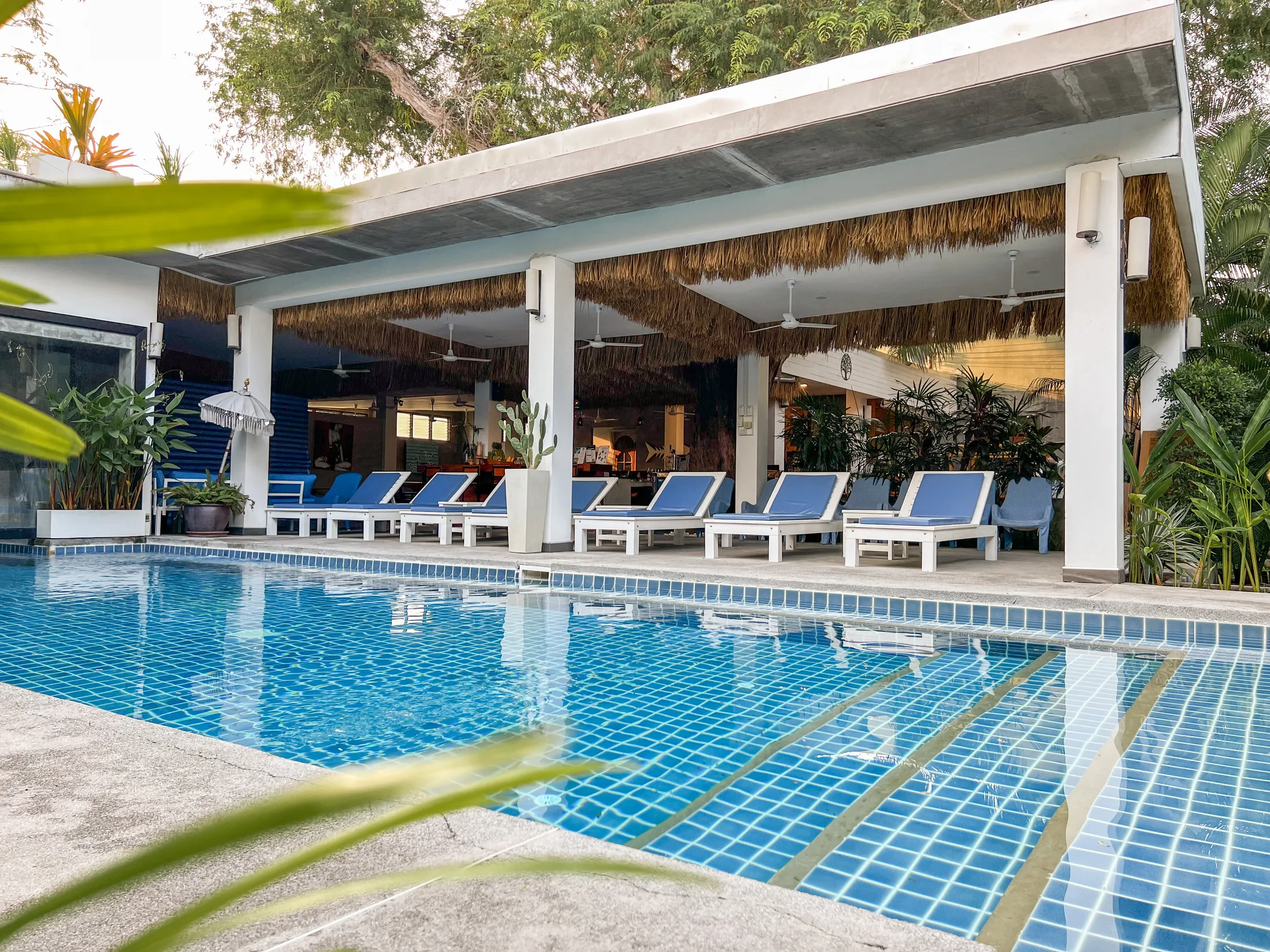 Pool and relaxation deck